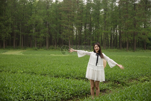 武汉单人喝茶,价格亲民有惊喜 武汉单人喝茶,价格亲民有惊喜